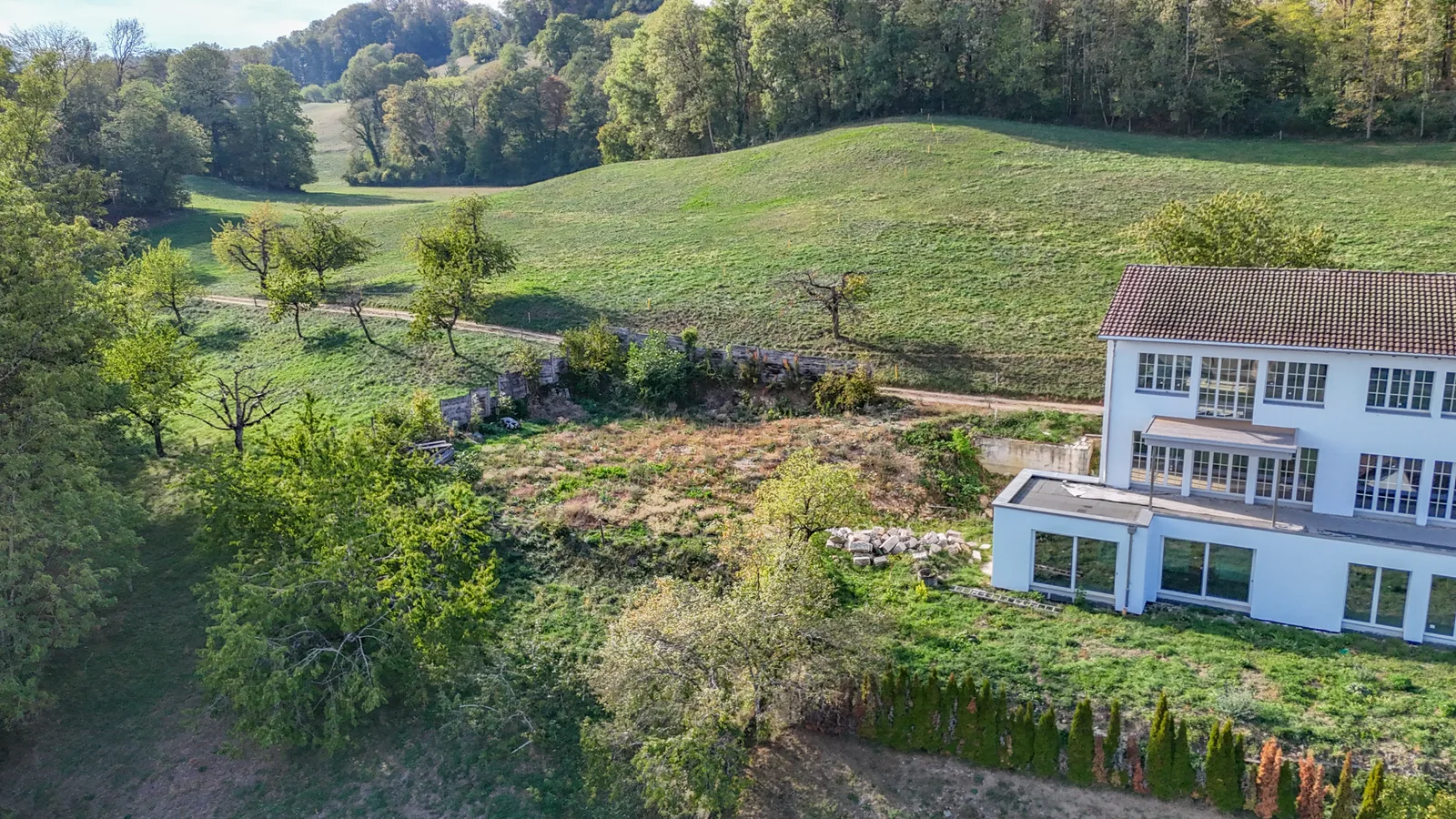 604 m² Bauland an aussichtsreicher Lage in Oberbipp - 3