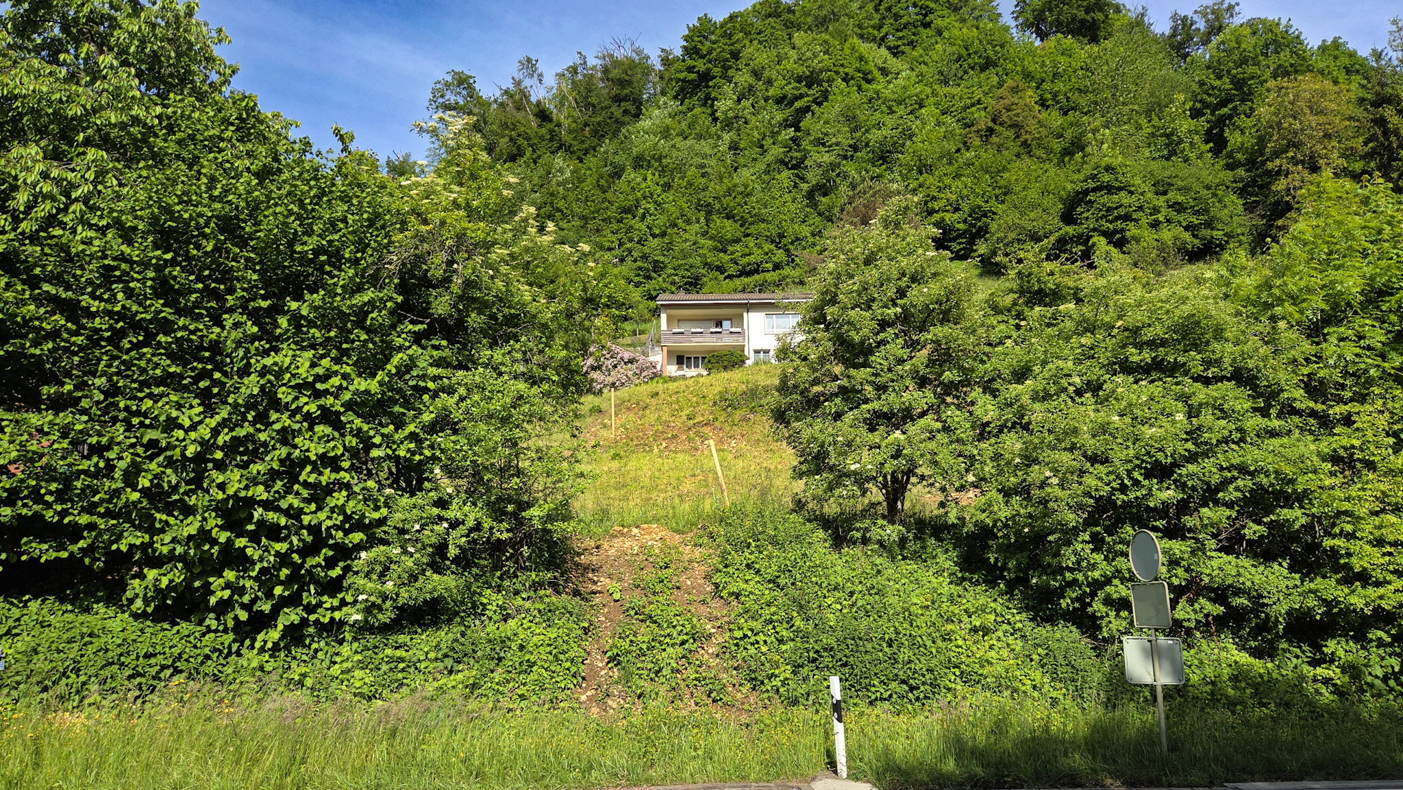 Bauland mit unverbaubarer Weitsicht in Rümlingen (2’024 m²) - 2
