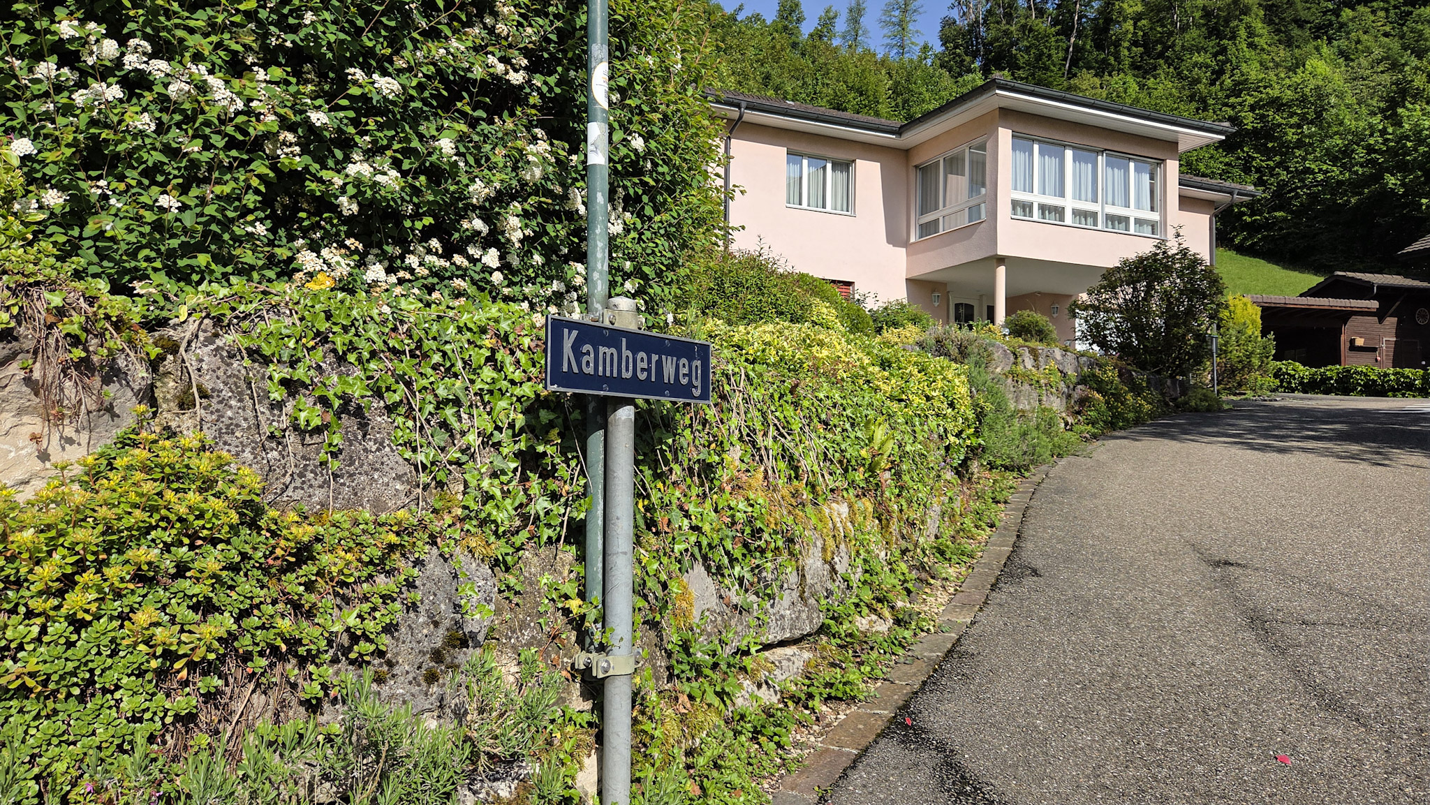 Bauland mit unverbaubarer Weitsicht in Rümlingen (2’024 m²) - 3