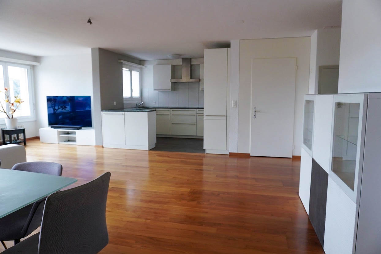 5½-Zimmer-Wohnung mit grosser Terrasse - 3