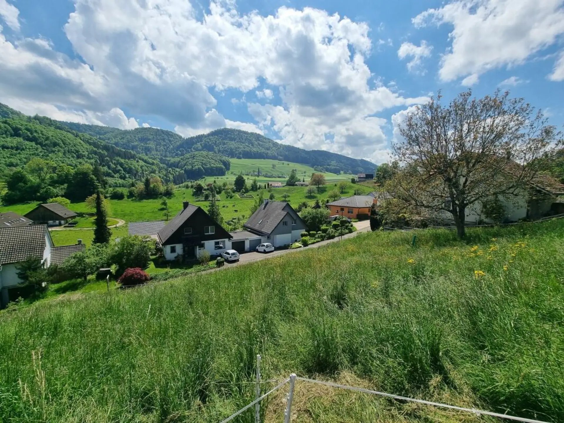 Grosses Baugrundstück mit Weitsicht in Bretzwil kaufen - 3