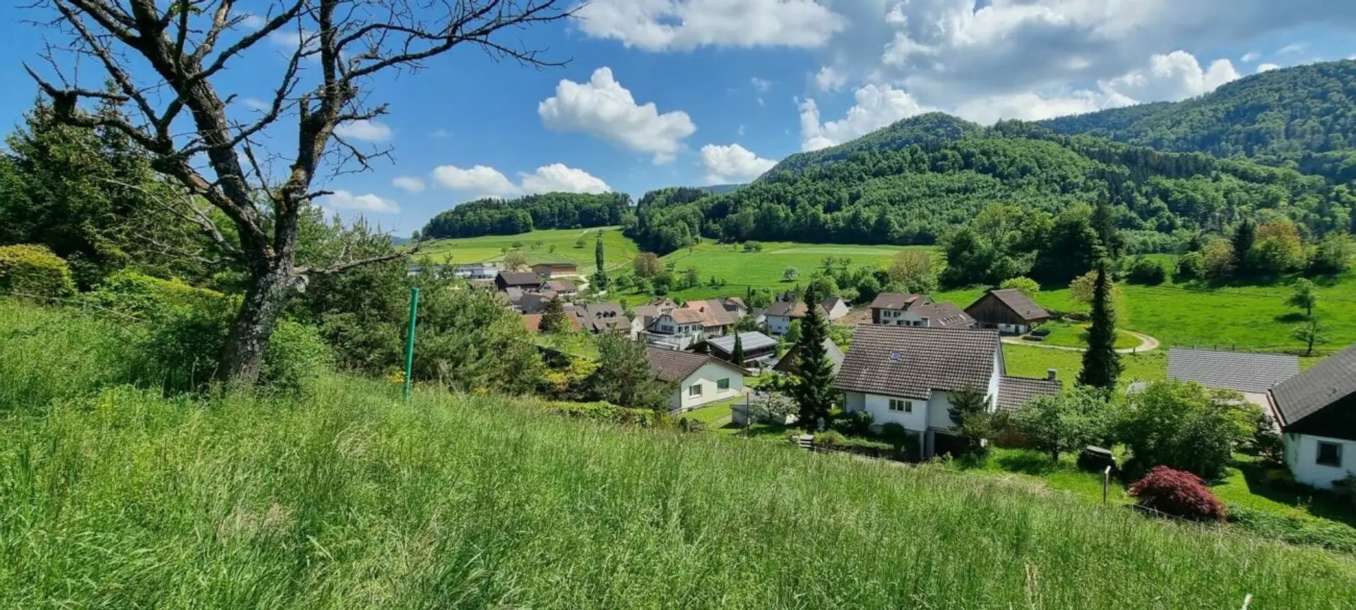 Grosses Baugrundstück mit Weitsicht in Bretzwil kaufen - 2