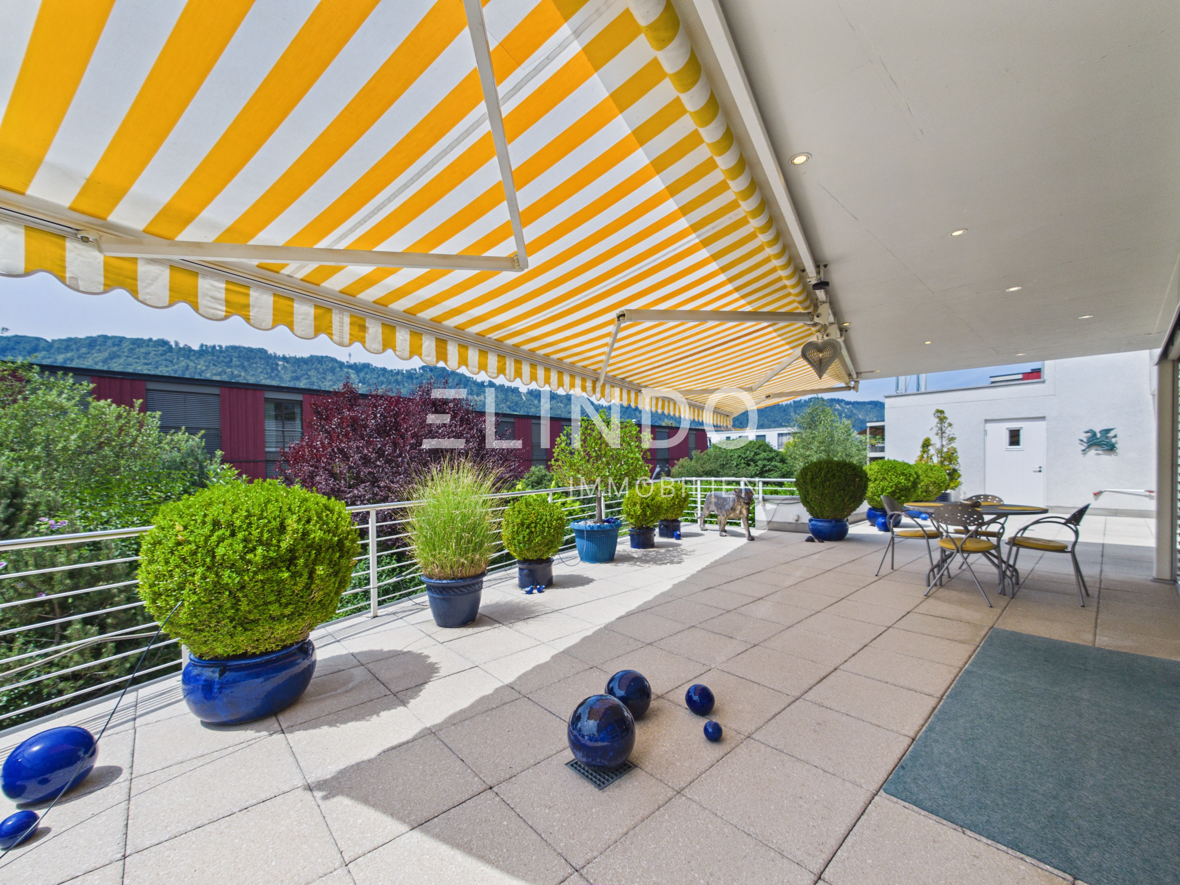 Adliswil | 4.5-Zimmer-Terrassenwohnung mit 96 m2 Terrasse - 3