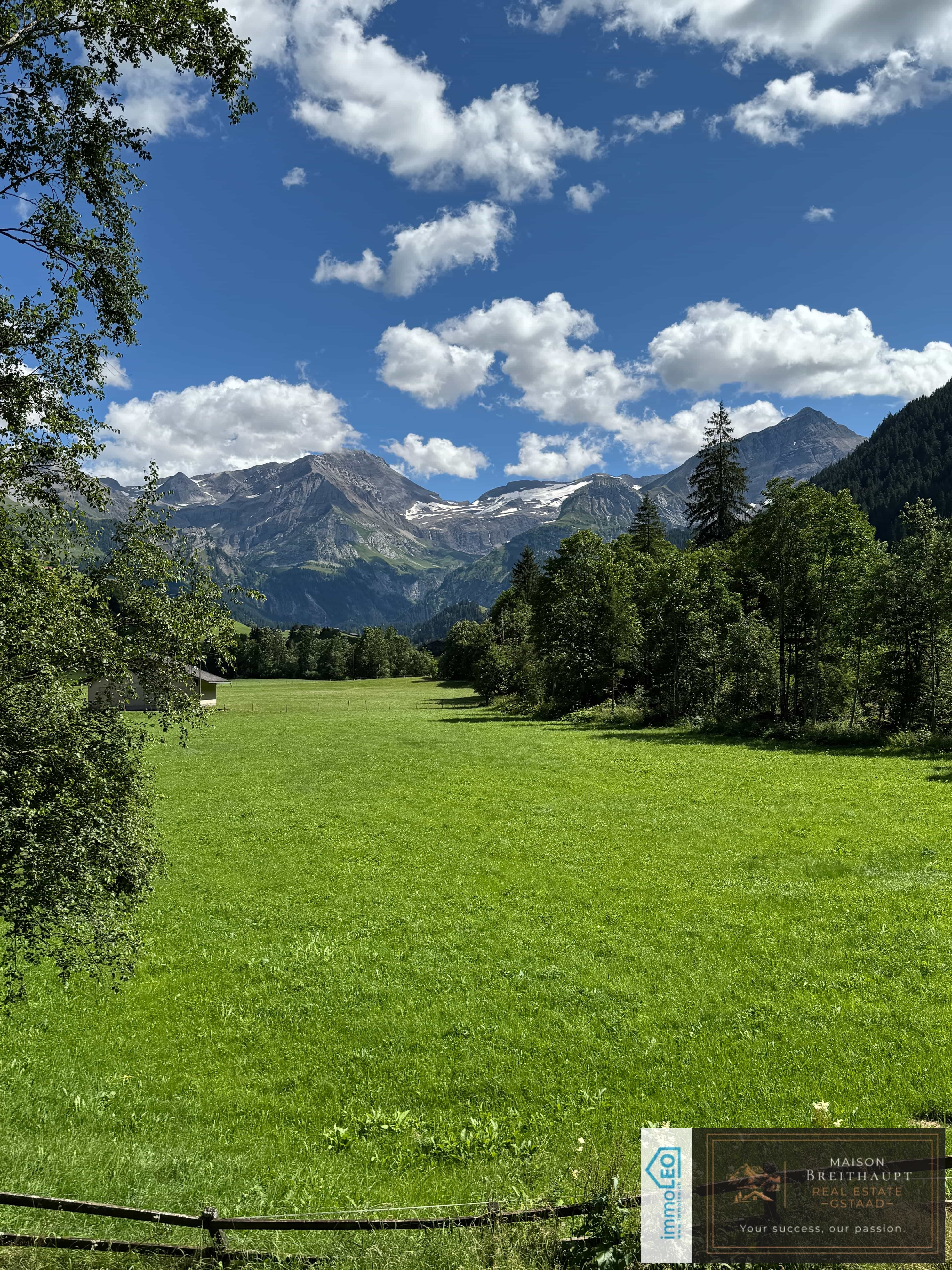 Idyllisches 5½-Zimmer Neubau-Chalet mit Bergsicht  - 2