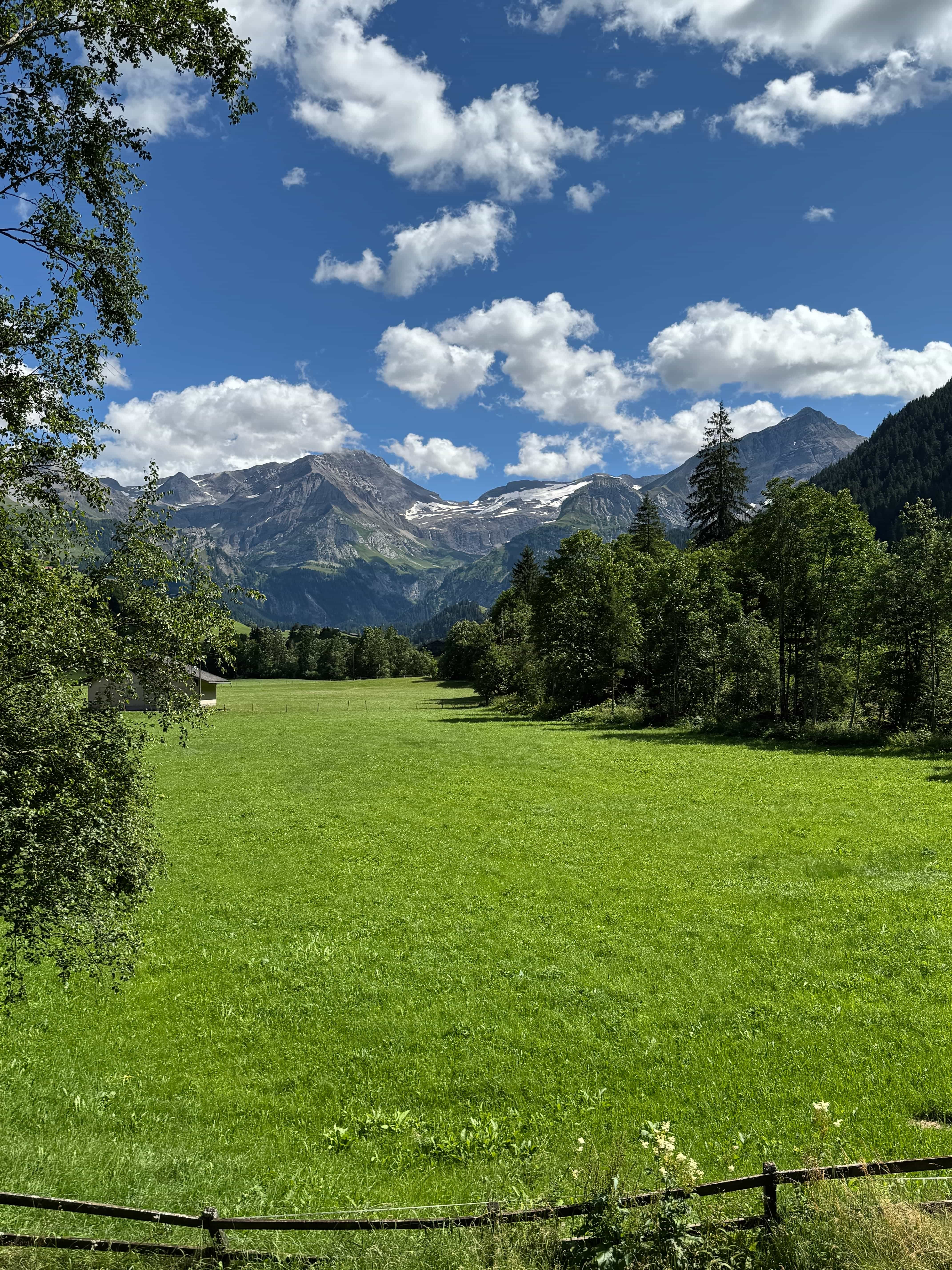 Idyllisches 5½-Zimmer Neubau-Chalet mit Bergsicht  - 3