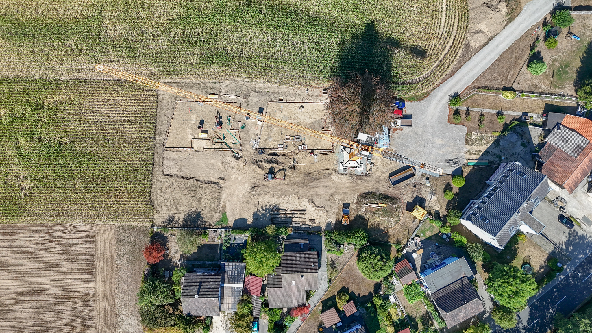 Wohnen auf einer Ebene – Modernes Einfamilienhaus mit Terrasse - 3
