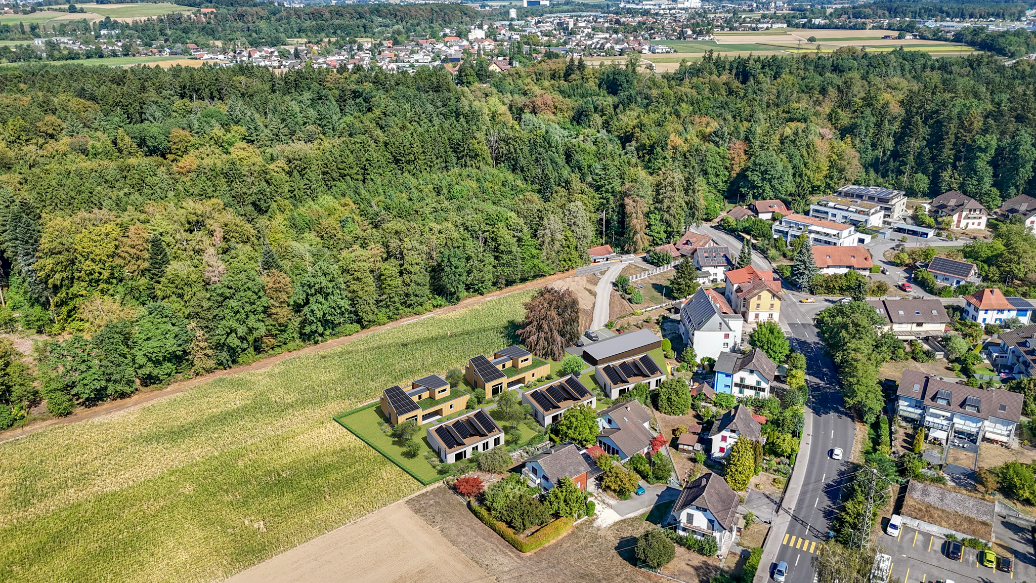 Wohnen auf einer Ebene – Modernes Einfamilienhaus mit Terrasse - 2