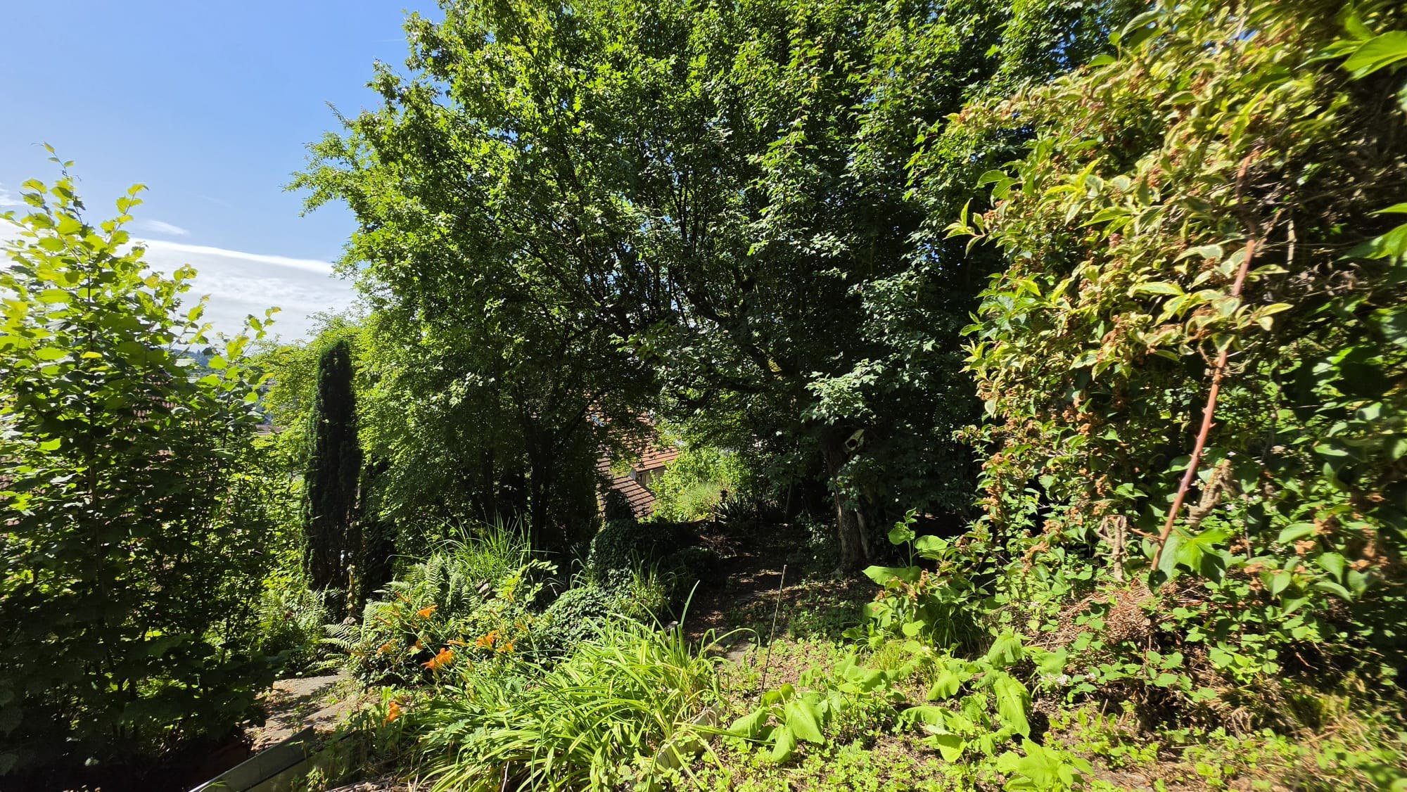 9-Zimmer-Bauernhaus mit grossem Garten in Niedergösgen kaufen - 3