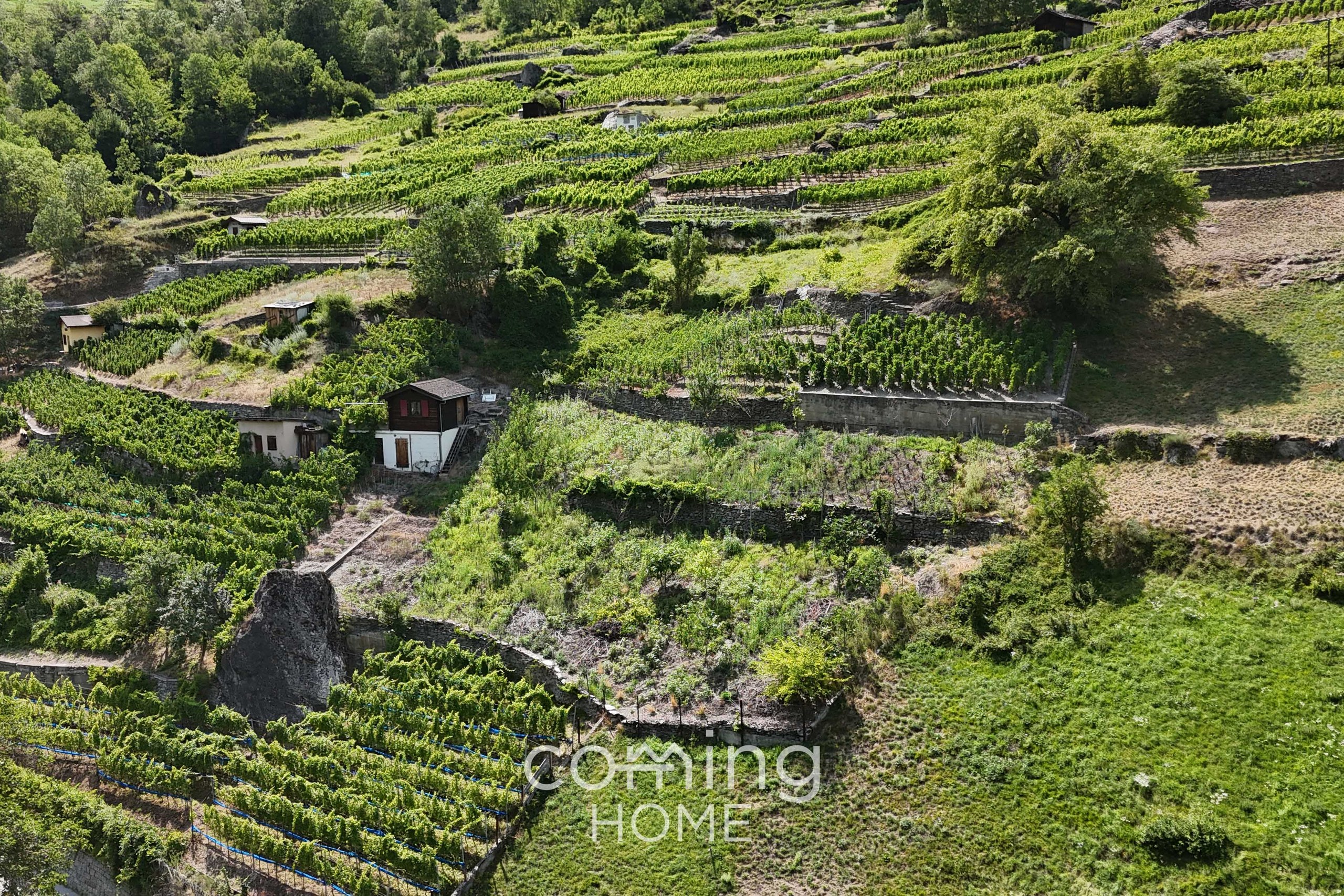 Rebparzelle mit Rebhaus in Stalden - Weinbau im Vispertal - 2