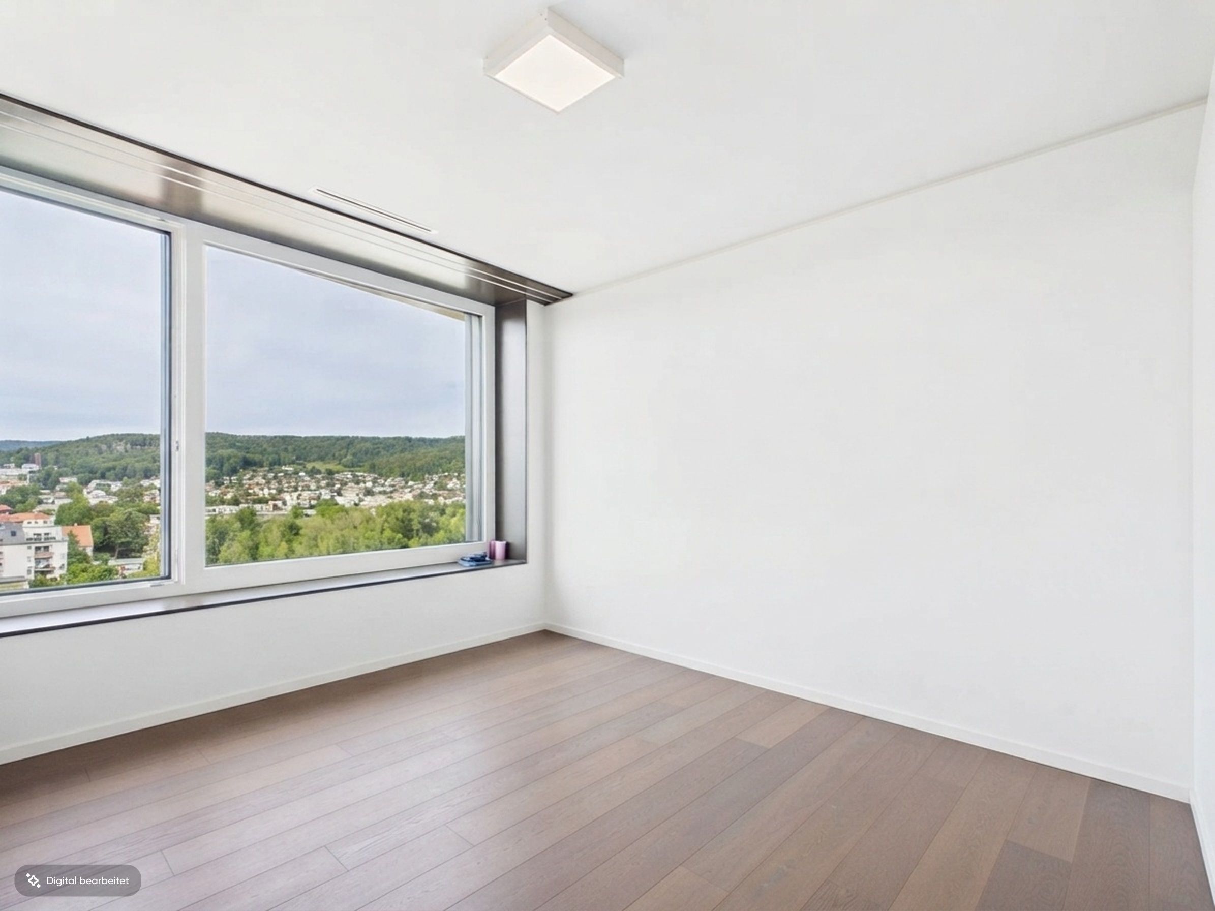 Wohnung im Limmat Tower mit Panoramablick - 2